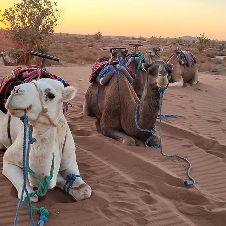 Desert Bivouac Mhamid Exterior foto