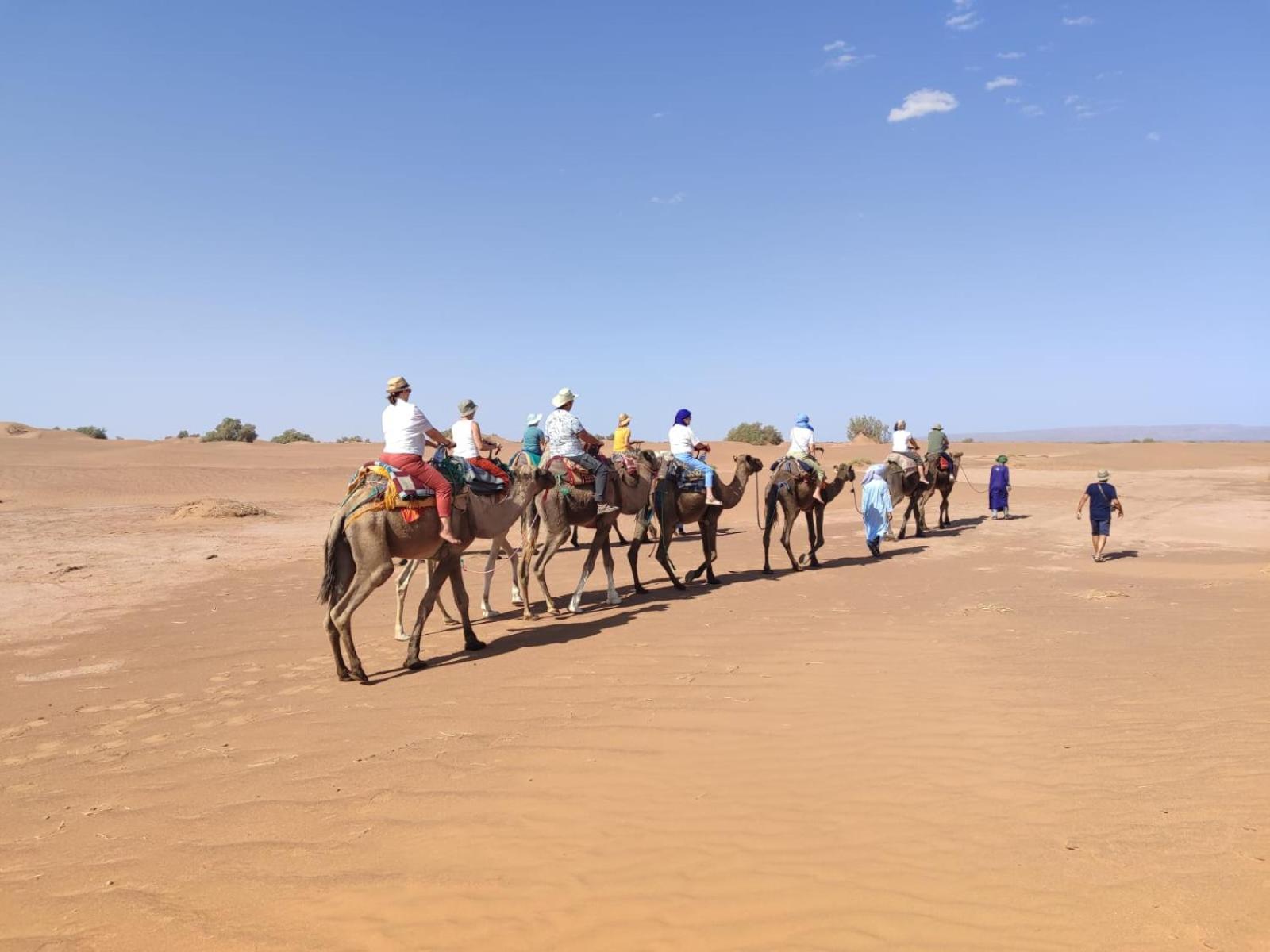 Desert Bivouac Mhamid Exterior foto