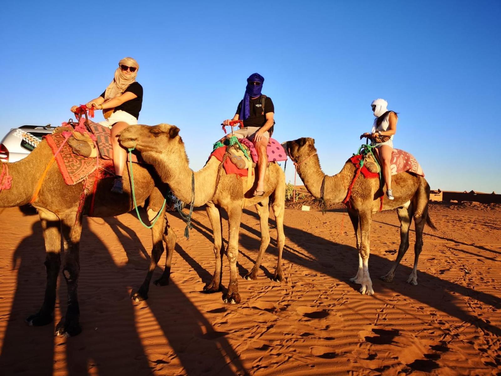Desert Bivouac Mhamid Exterior foto